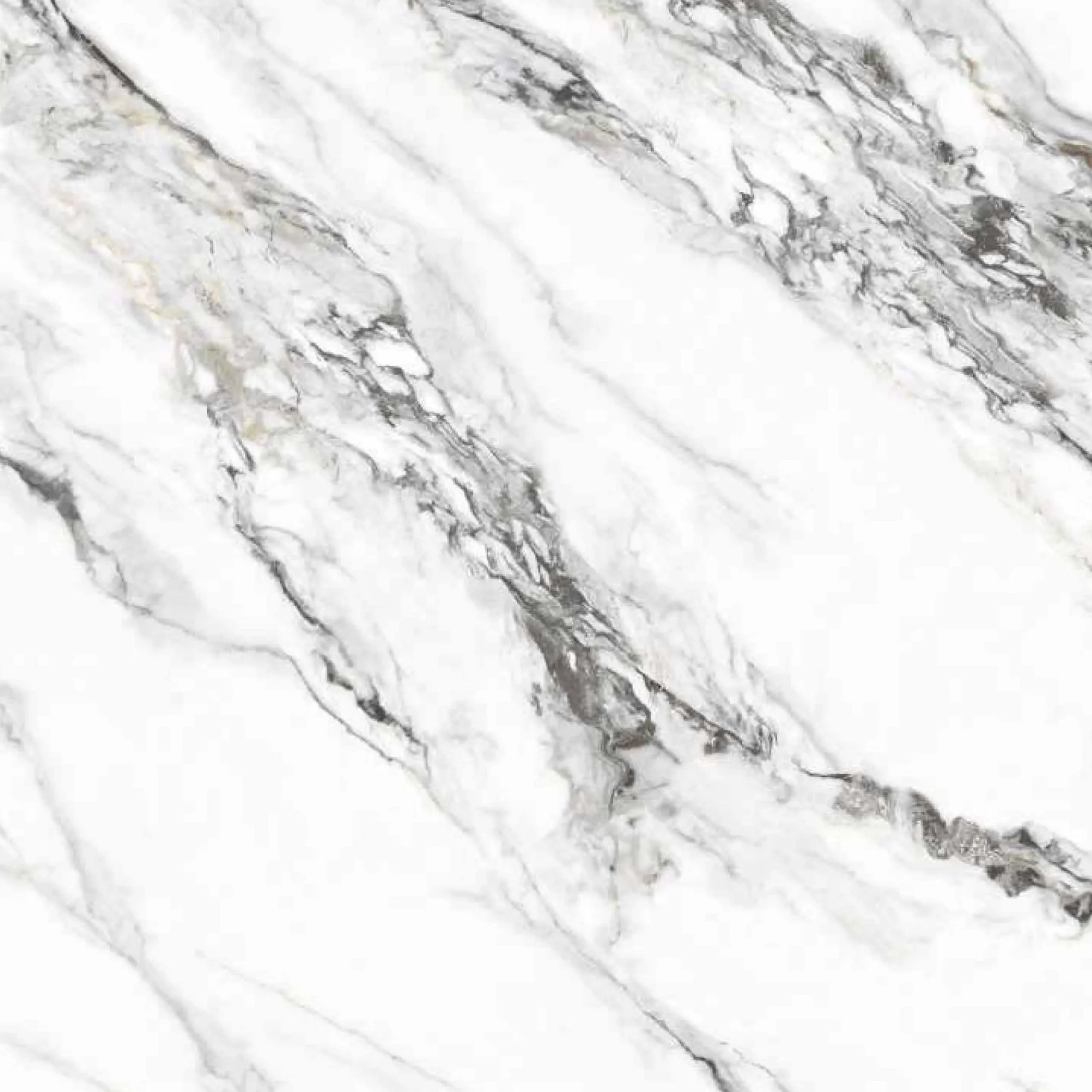arabescato white 120x120cm glossy tile