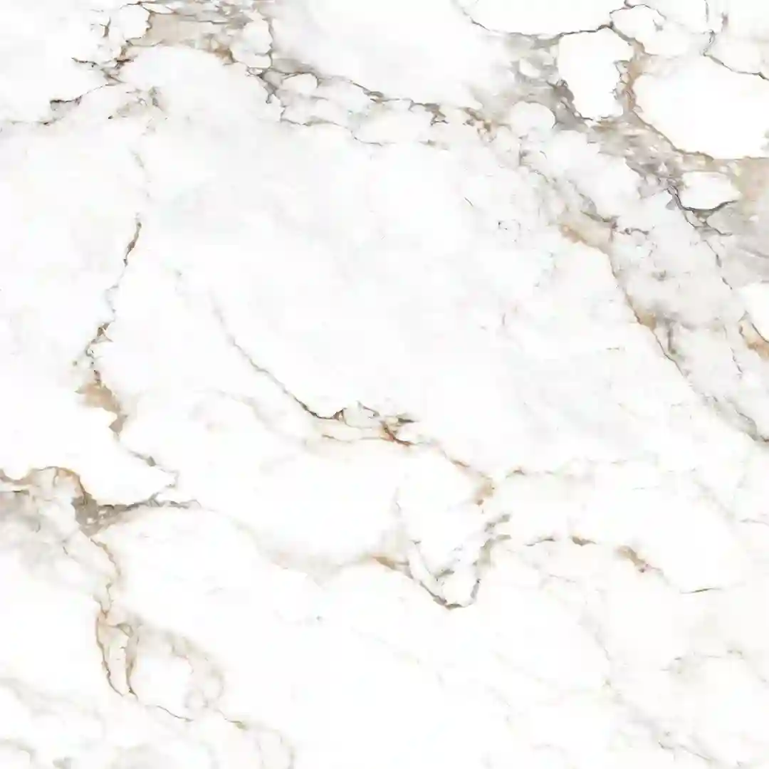 calacatta-classic-120x120cm-glossy-tile